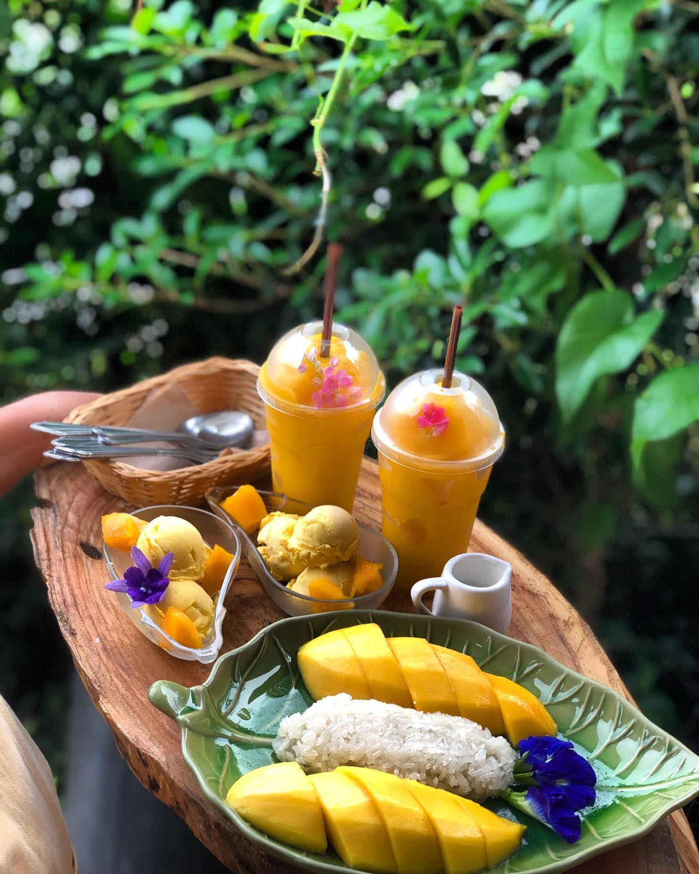 บ้านหมากม่วง เขาใหญ่ (The Mango House Farm) Pet Friendly Thailand