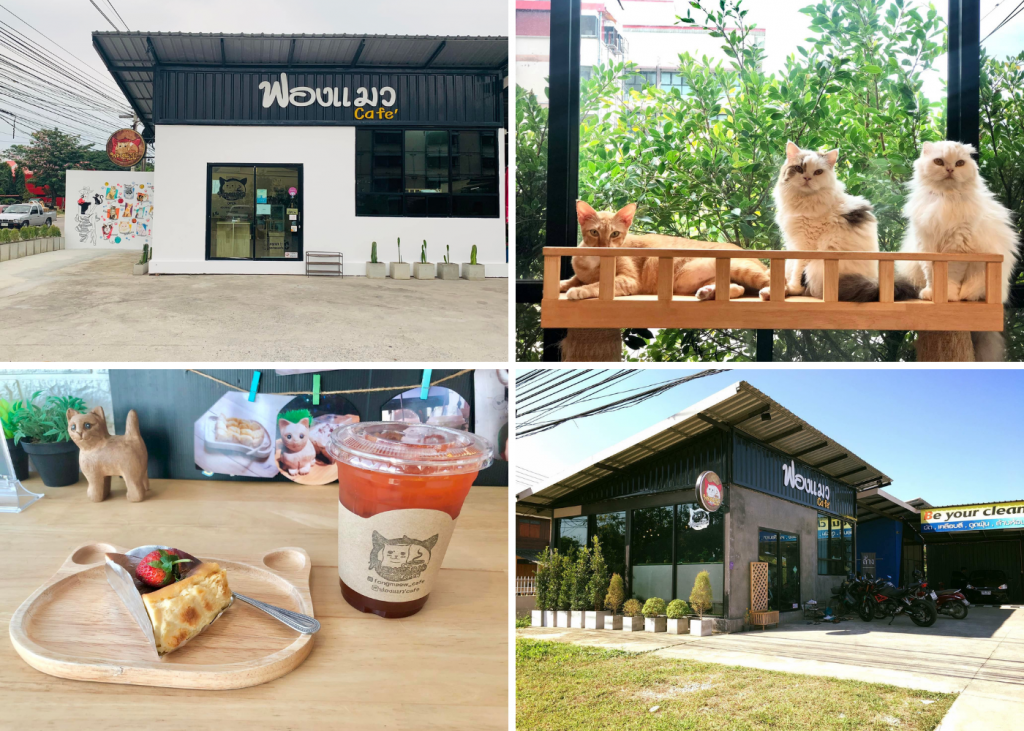 ฟองแมว'Cafe (Fong Maew Cafe) พิษณุโลก