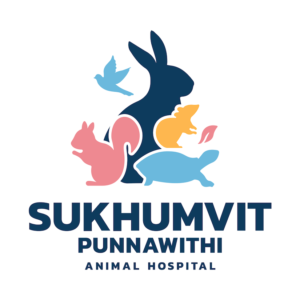 Logo of Sukhumvit Punnawithi Animal Hospital, 11 พิกัดโรงพยาบาลและคลินิกสัตว์ย่านสุขุมวิท