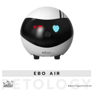 Ebo Air PetologyThailand, 10 อุปกรณ์ไฮเทคสำหรับสัตว์เลี้ยง
