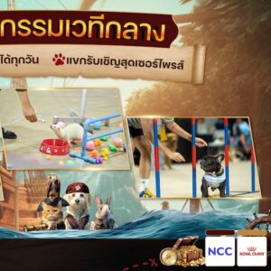 Pet Expo Thailand 2024 - เวทีกลาง2